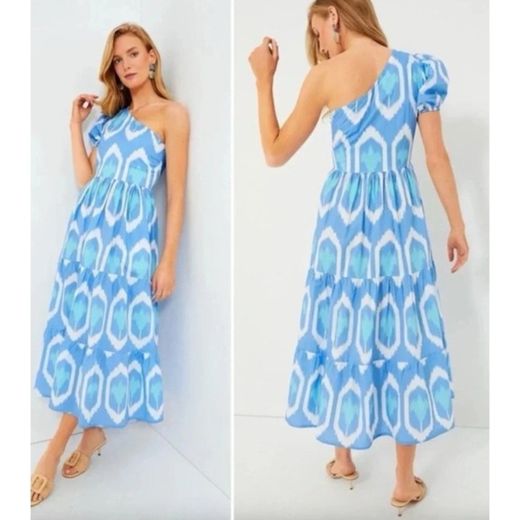 Oliphant Dresses & Skirts - Oliphant Odisha One Shoulder Maxi Dress Blue Ikat Small